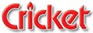 Cricket Çakmak Çeşitleri Cricket Çakmaklar
