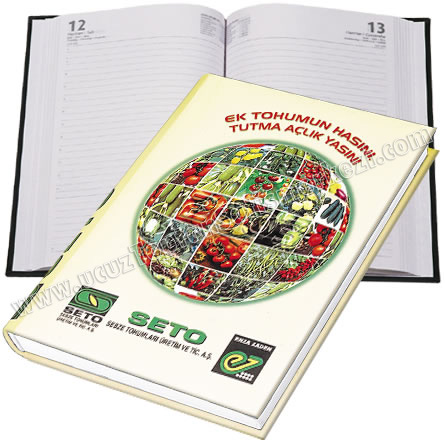Toptan 17x24 Günlük Ajanda - Sıvama Kapak - Dikişli GAJ620-17 Toptan 17x24 Günlük Ajanda - Sıvama Kapak - Dikişli GAJ620-17