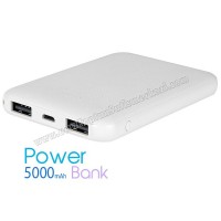 Toptan PowerBank 5000 mAh - 2 Çıkışlı APB3794